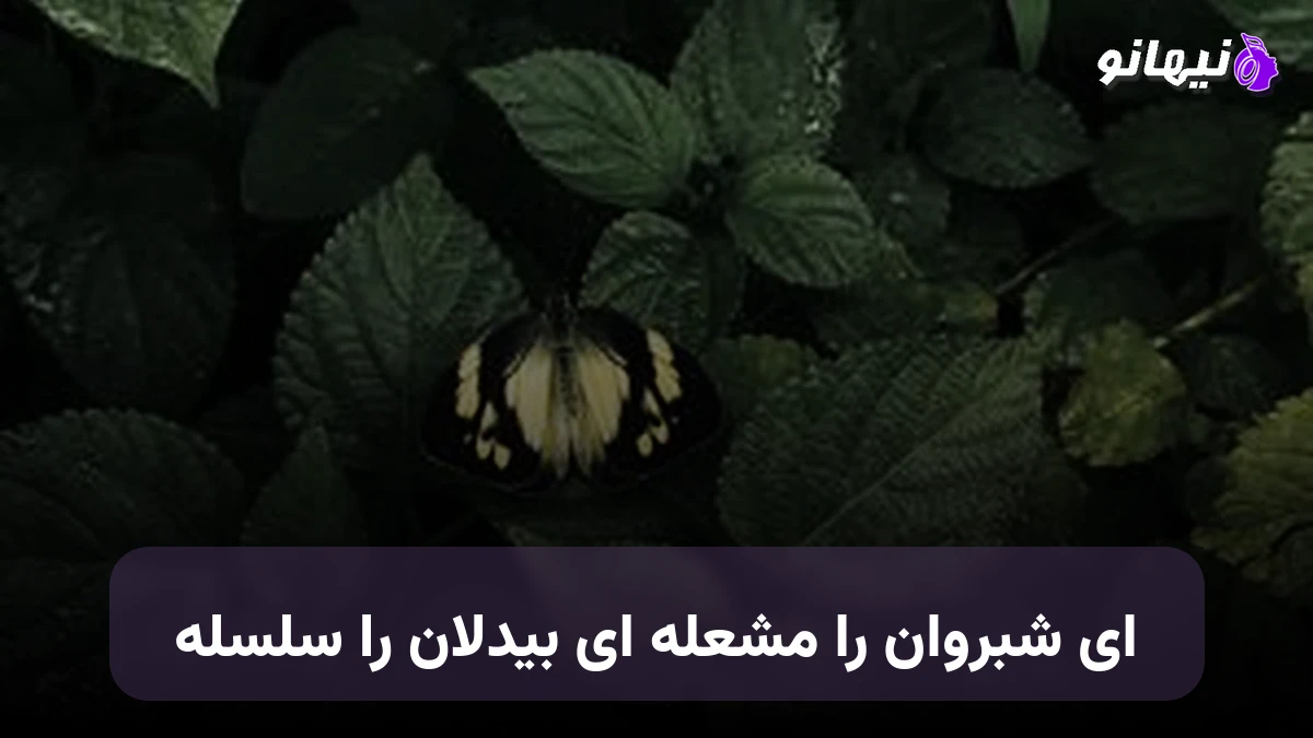 دانلود آهنگ ای شبروان را مشعله ای بیدلان را سلسله هوش مصنوعی